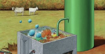 Bio gas digester system