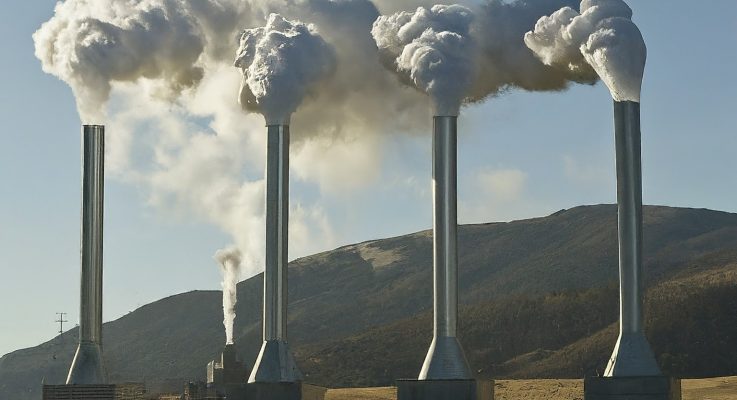 How Biogas Revolutionizes Energy and Sustainability: A Comprehensive Guide 2024